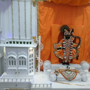 Pooja Unit ideas